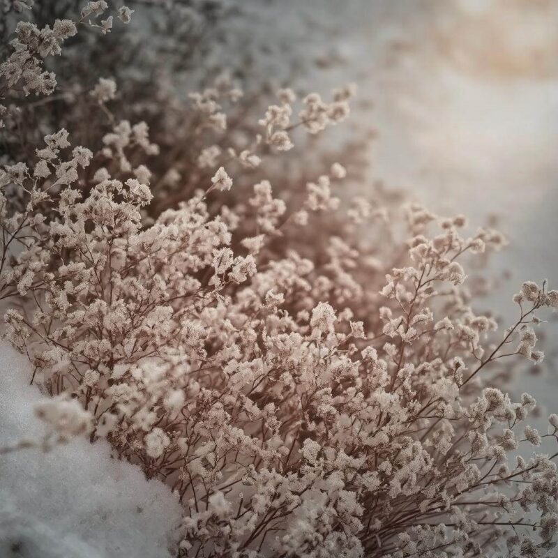 Skuteczne środki na mroźne noce